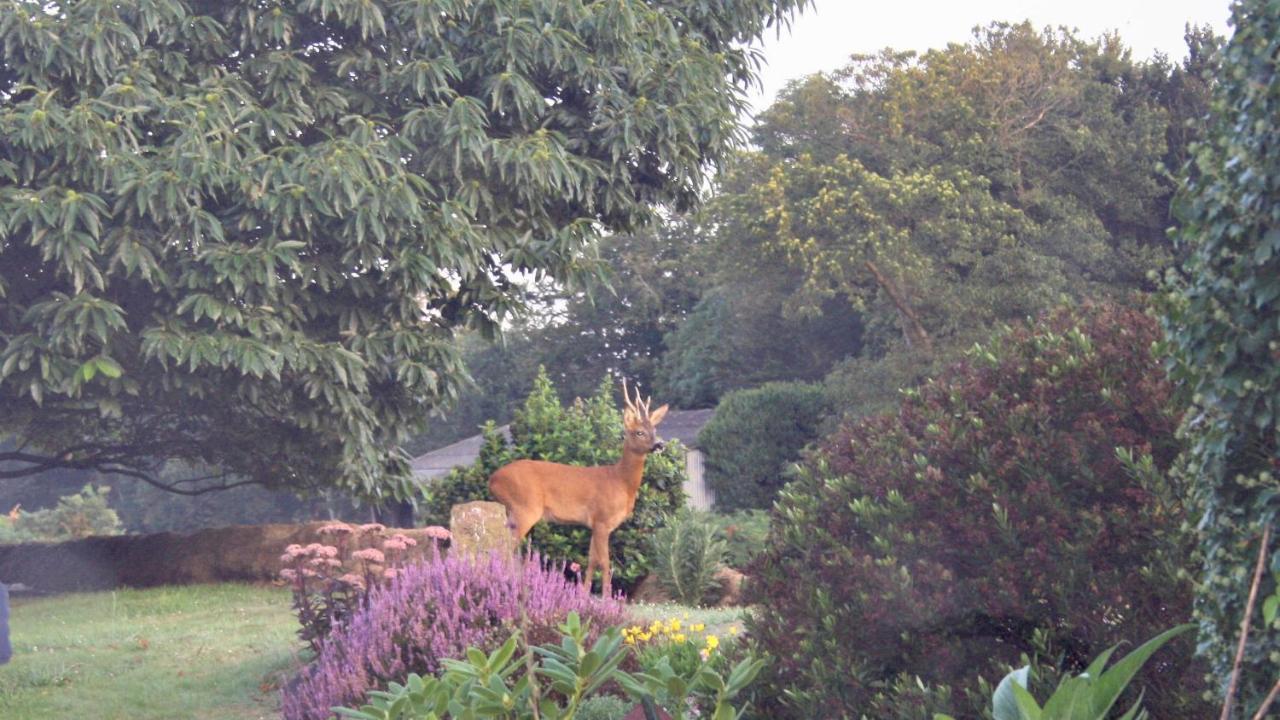 Breizh A-Gevret Bed & Breakfast Lannion Exterior photo